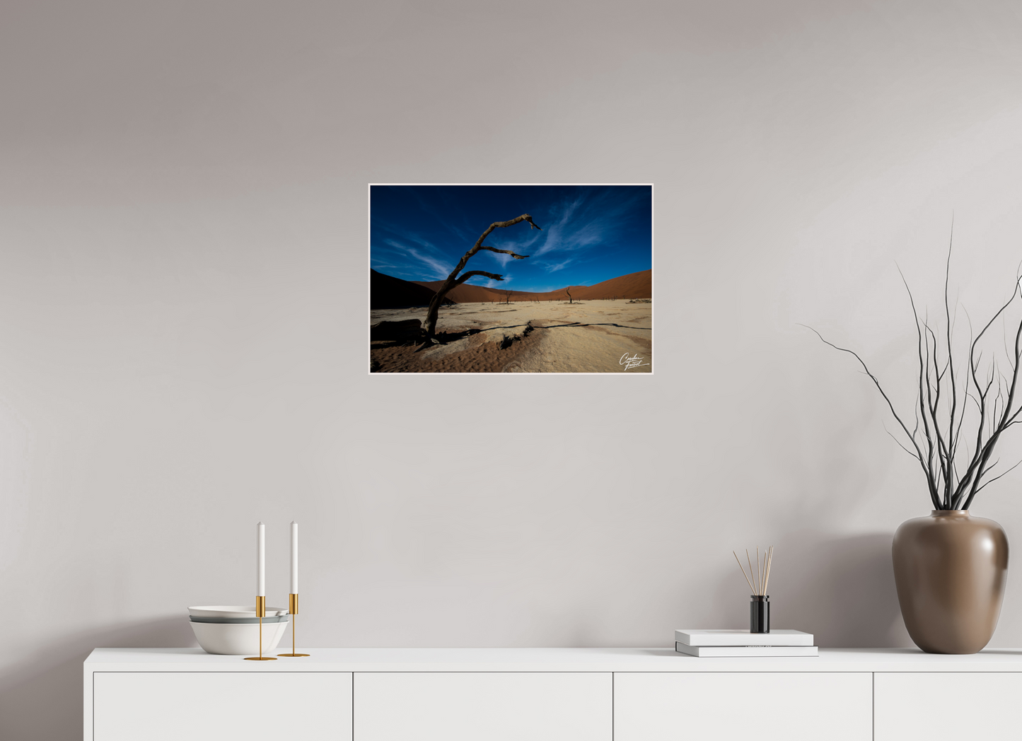 Desert Sentinel (Caroline Fourest)