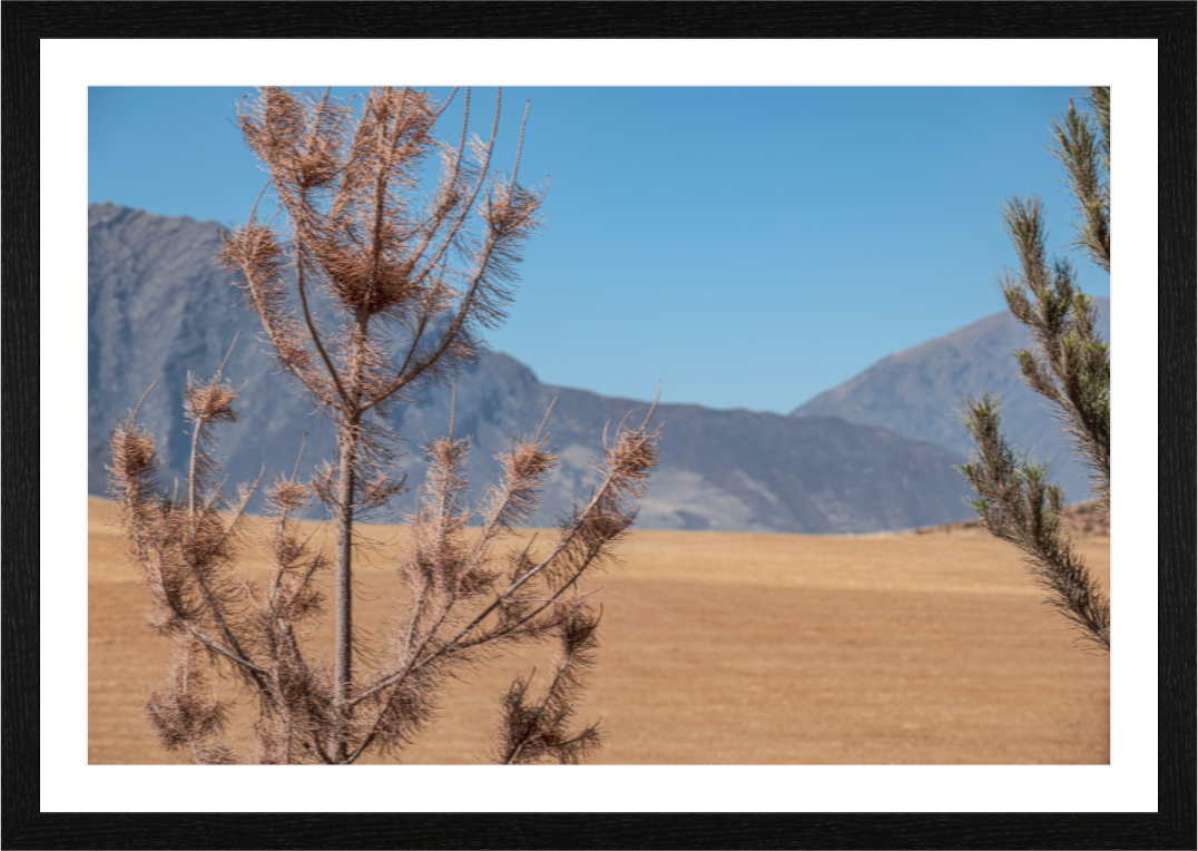 Main image FIAMMETTA VENNER Perou