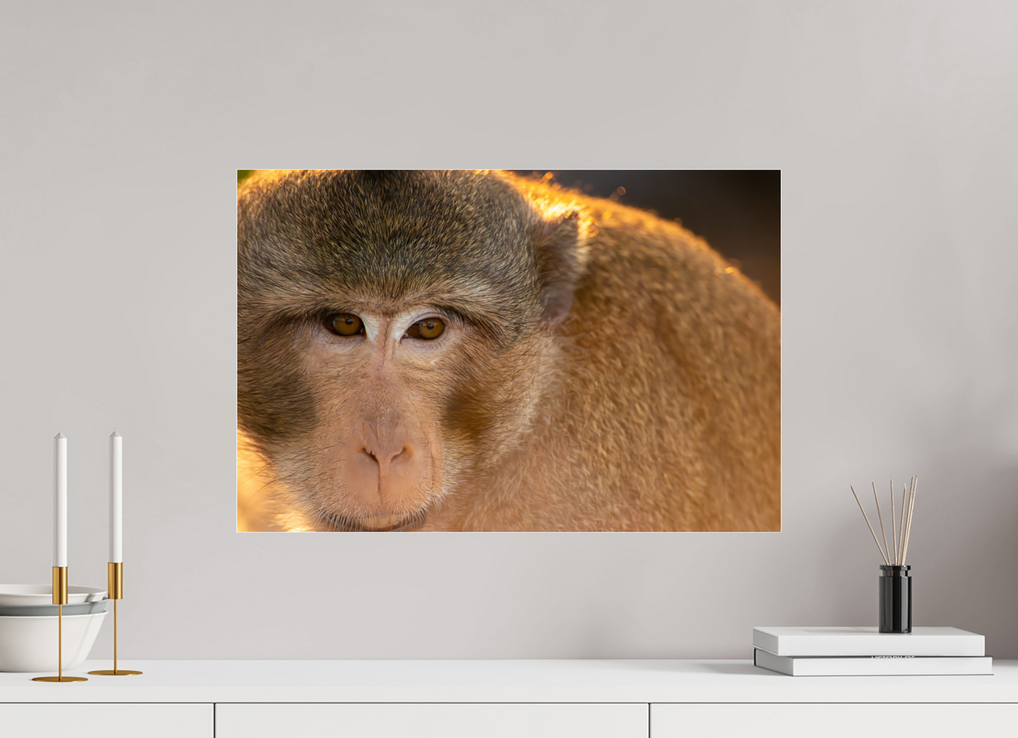 60 x 40 cm, Tirage photo ultraHD sous Plexi i