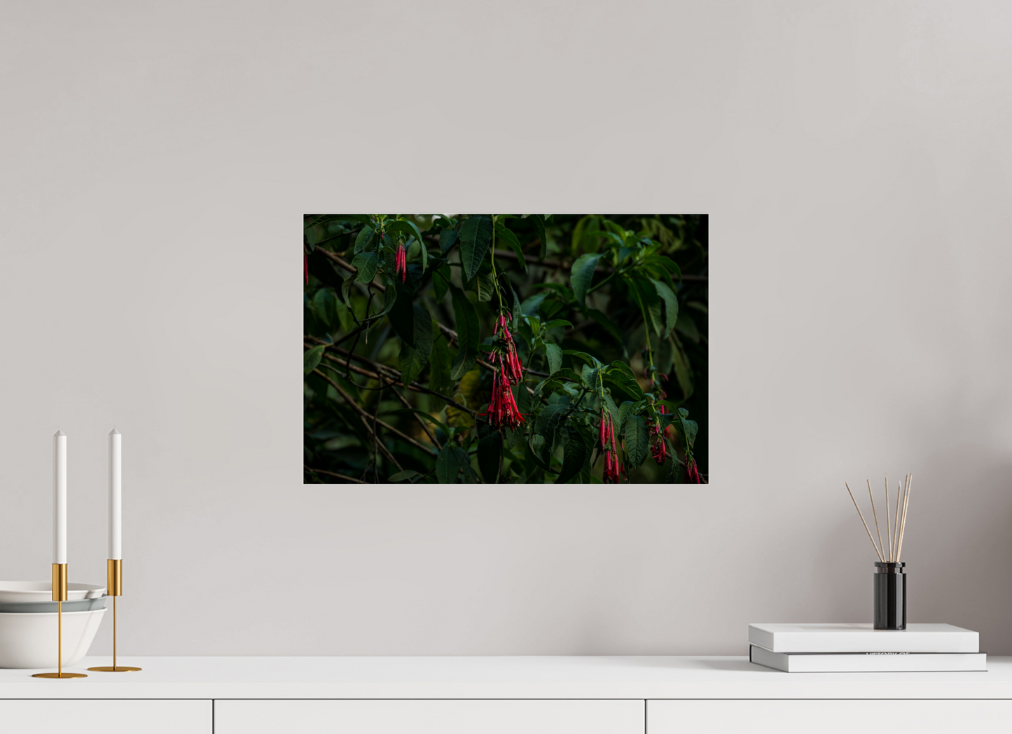 45 x 30 cm, Photo Print Under Acrylic Glass Fiammetta Perou