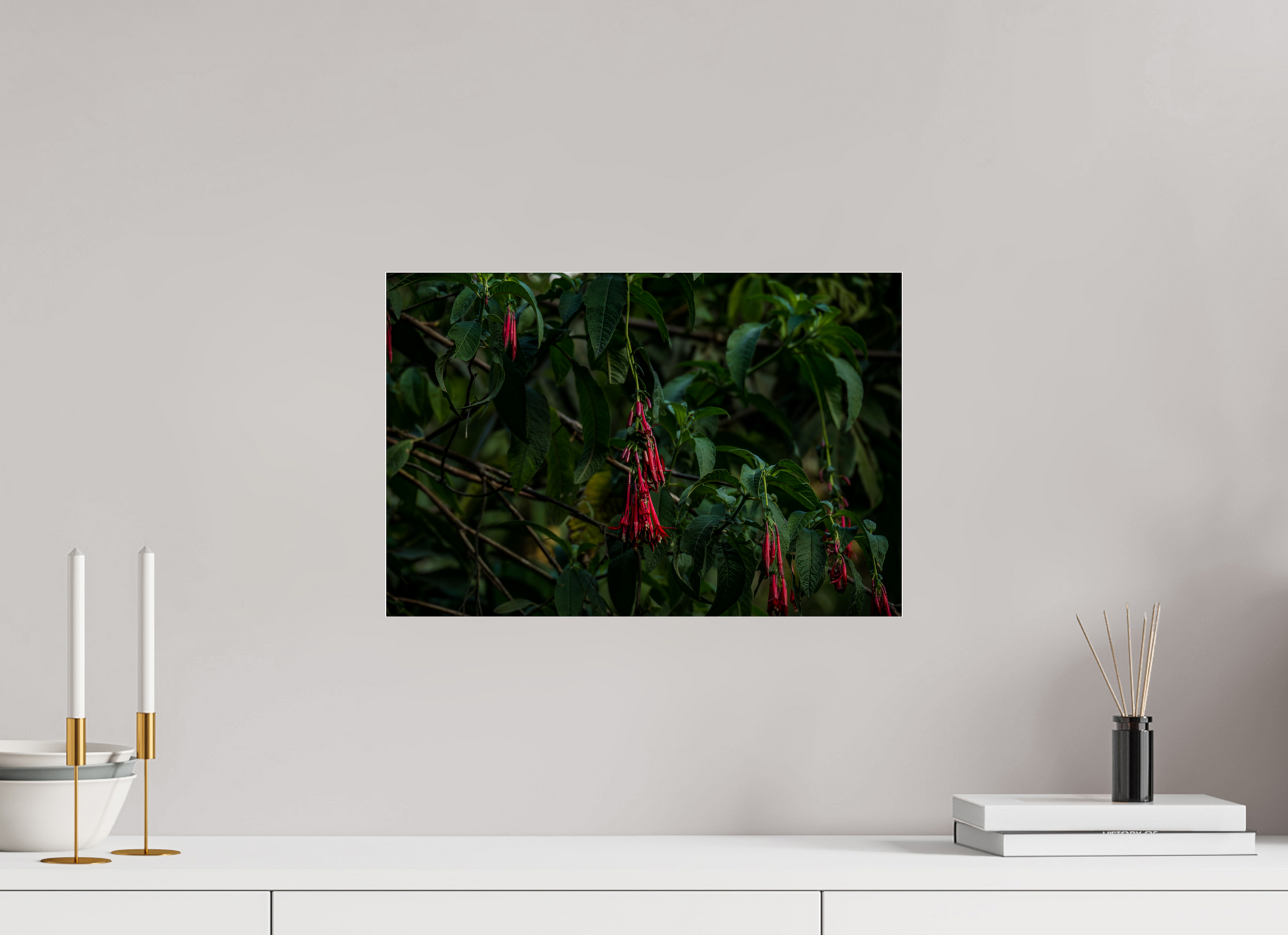 45 x 30 cm, Photo Print Under Acrylic Glass Fiammetta Perou