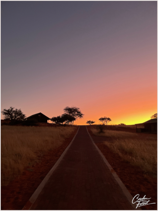 Desert Pathway (Caroline Fourest)