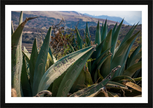 Main image fiam perou