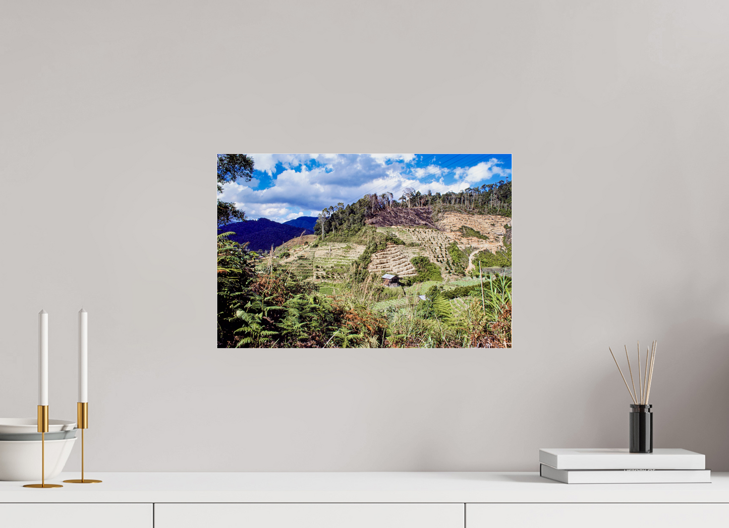 Terraced Horizons (Aline de Nanxe)