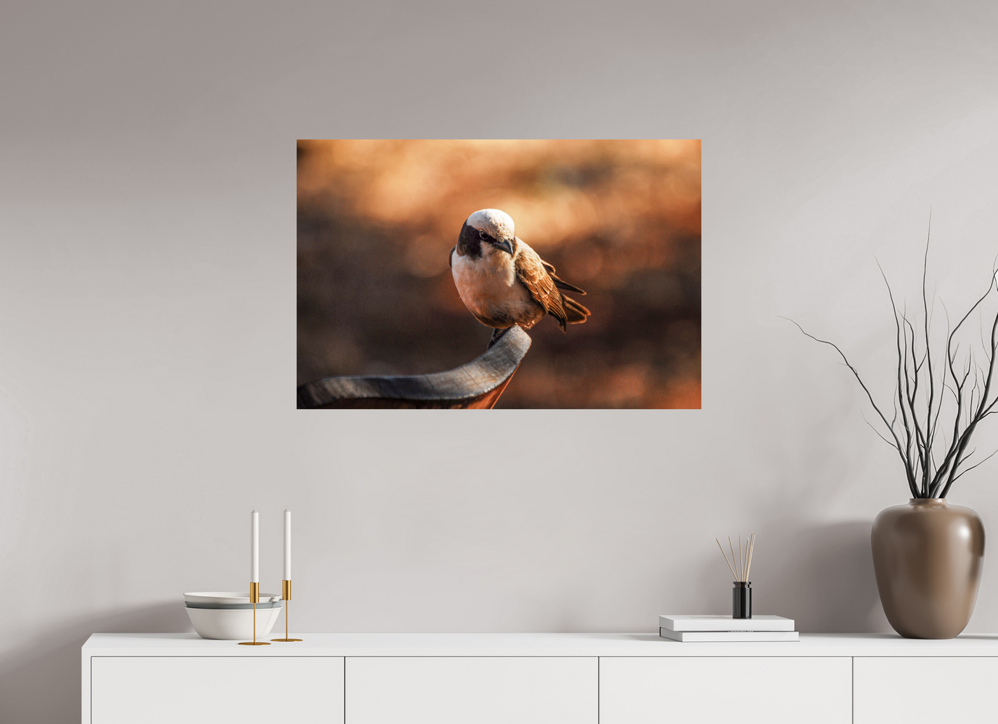 Perched in Serenity (Caroline Fourest)