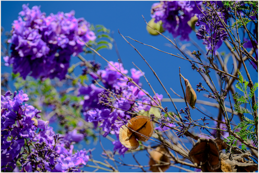 Main image Peru (2024) Photography : © Fiammetta Venner / REIA (Fiammetta Venner)