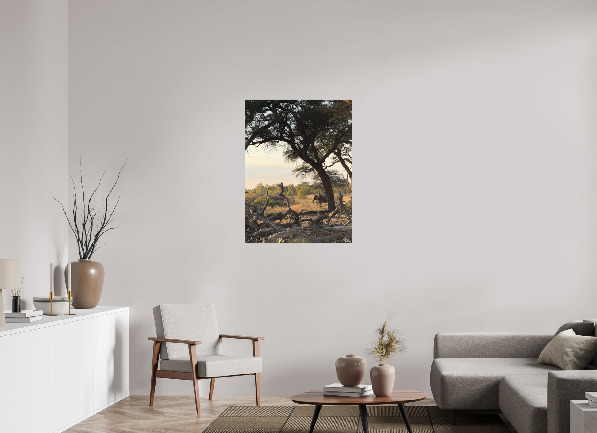 75 x 100 cm, Tirage photo sous Plexi mat The Guardian Tree (Caroline Fourest)