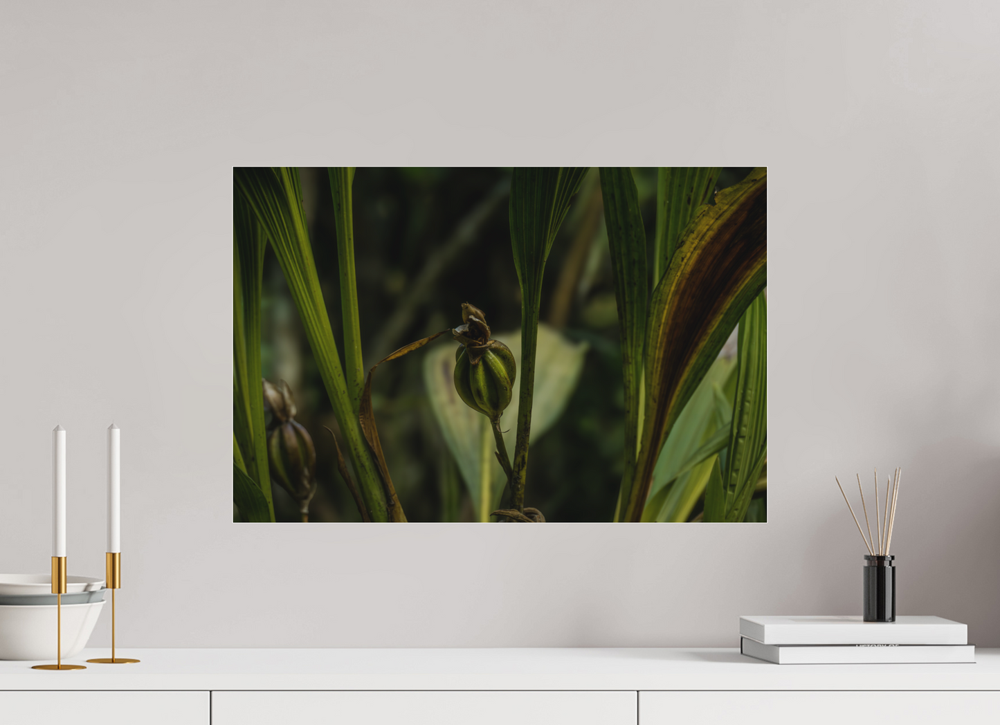 60 x 40 cm, Tirage photo sous Plexi mat Fiammetta Perou