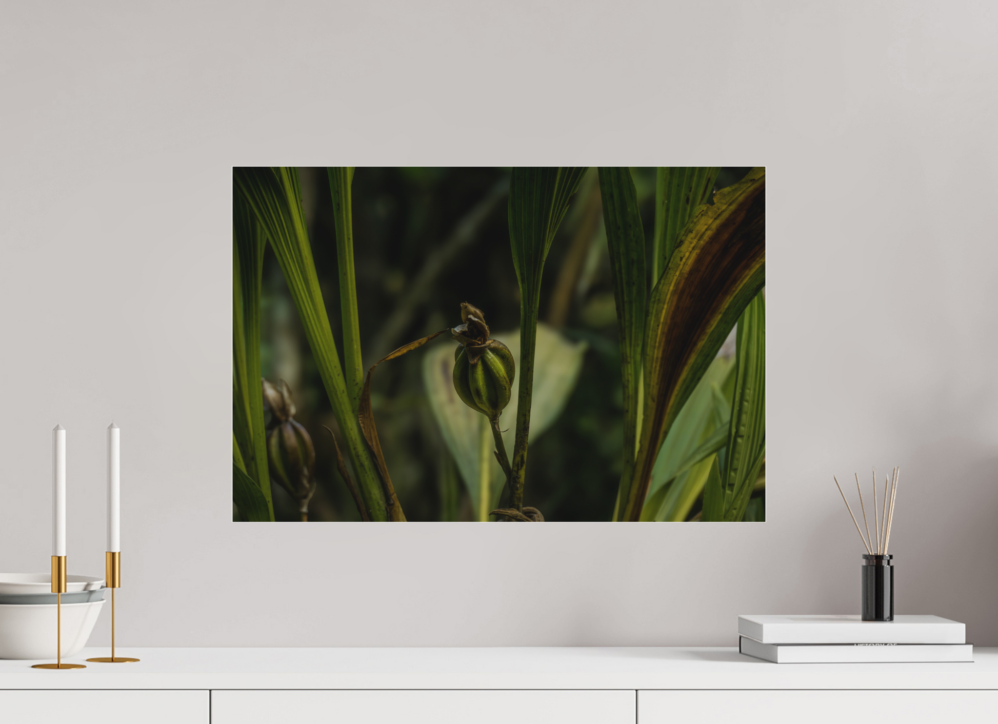 60 x 40 cm, Tirage photo sous Plexi mat Fiammetta Perou