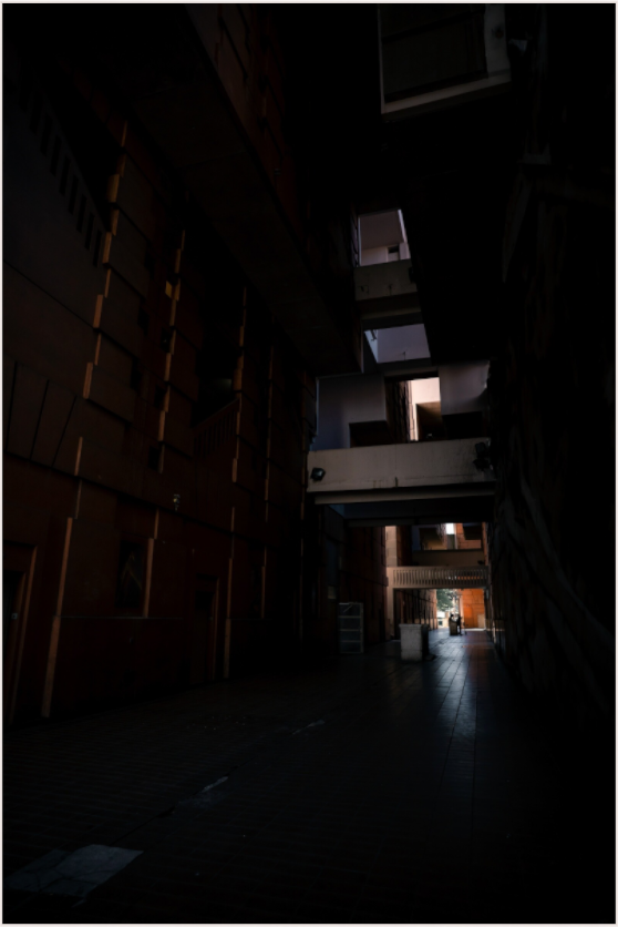 Illuminated Passage (Fiammetta Venner)