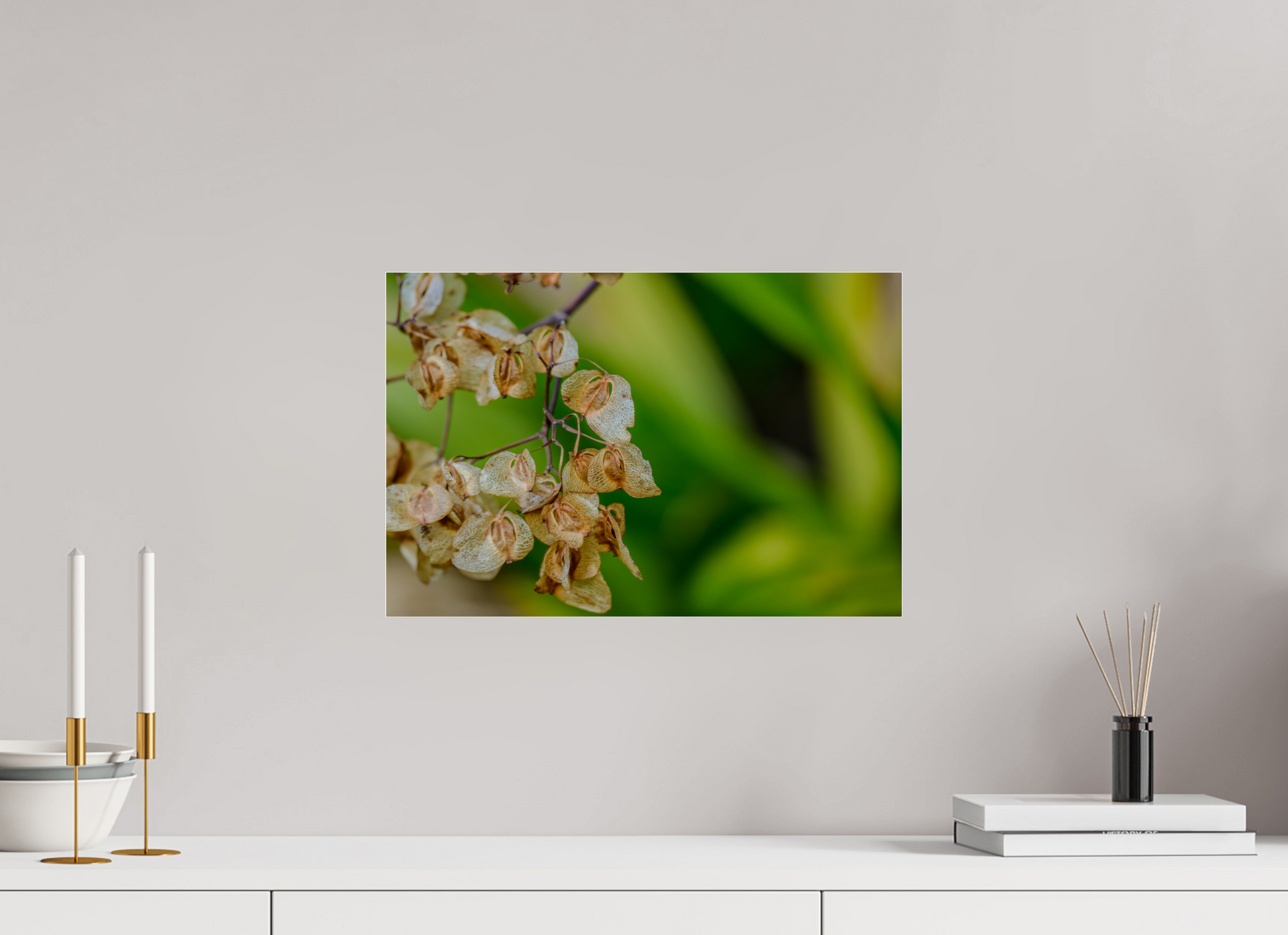 45 x 30 cm, Photo Print Under Acrylic Glass Fiammetta Perou