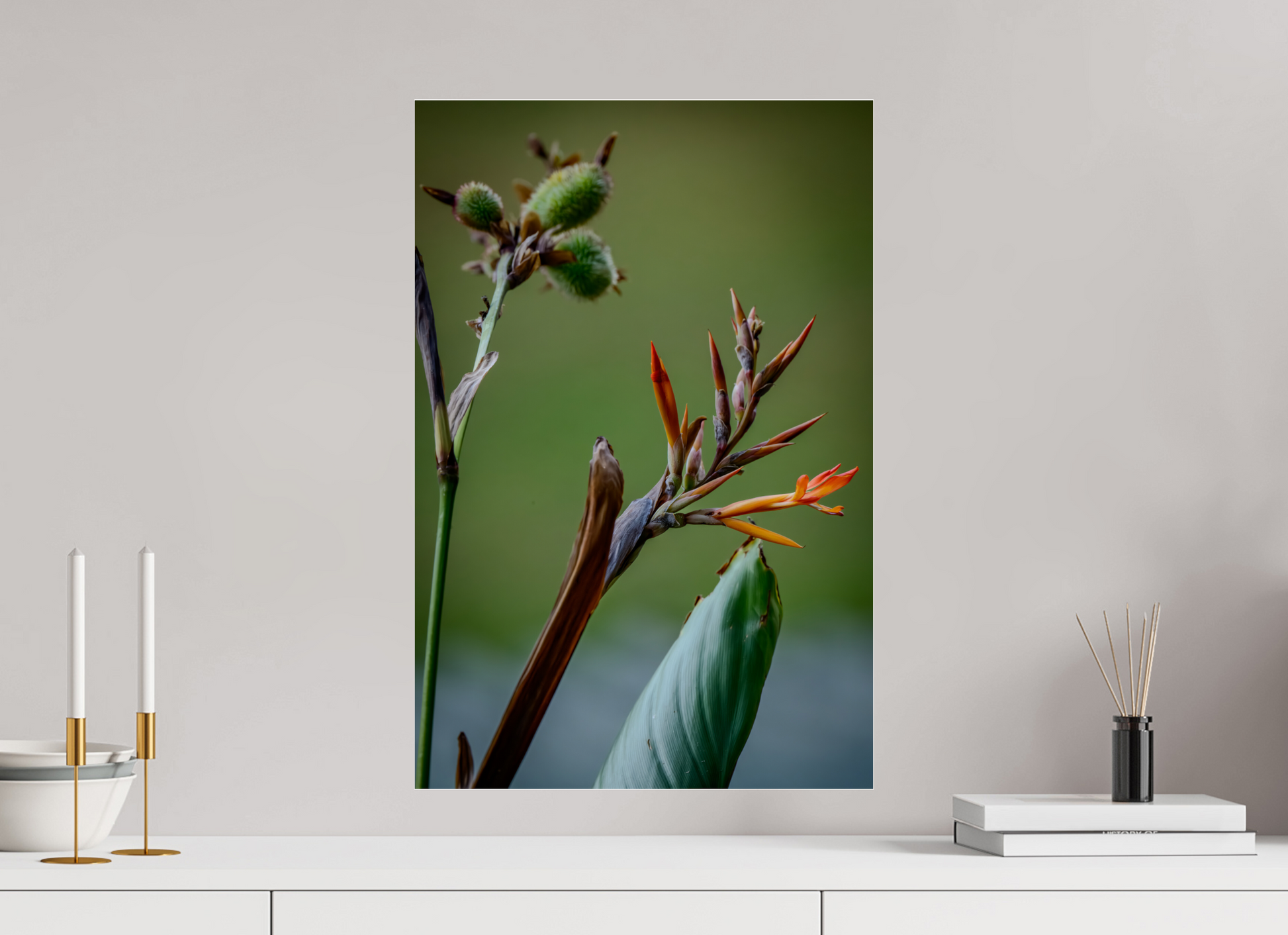 40 x 60 cm, Tirage photo ultraHD sous Plexi Fiammetta Perou