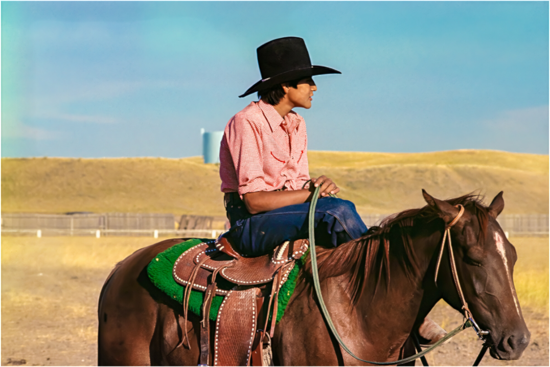 Lone Rider (Aline de Nanxe)