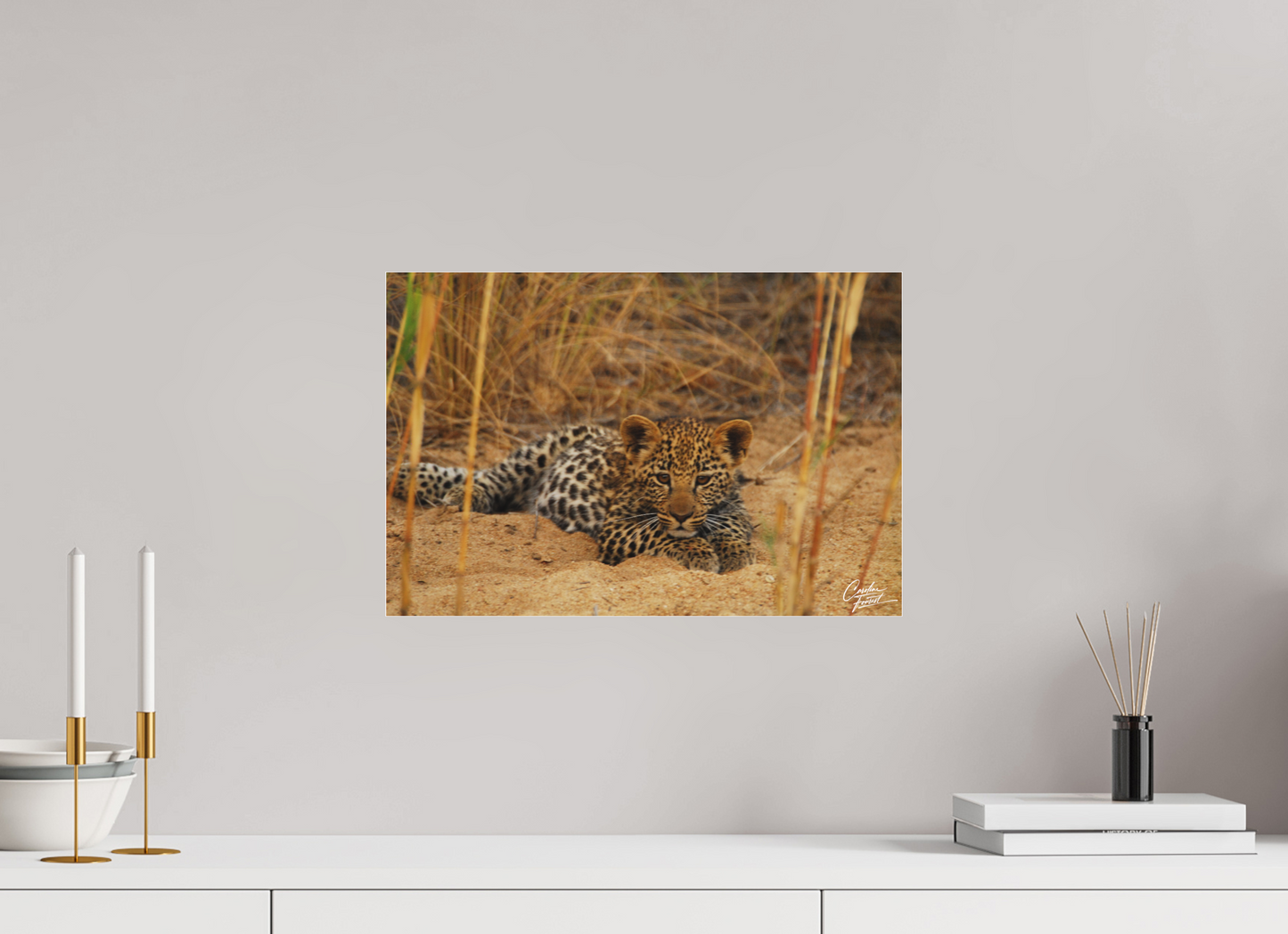 Leopard's cub  Rest (Caroline Fourest)