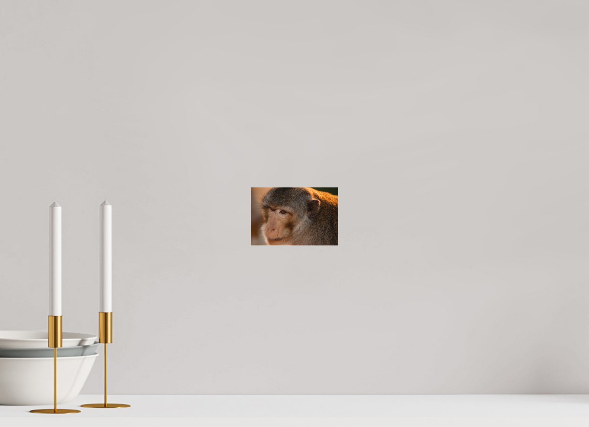 15 x 10 cm, Tirage photo sous Plexi mat l