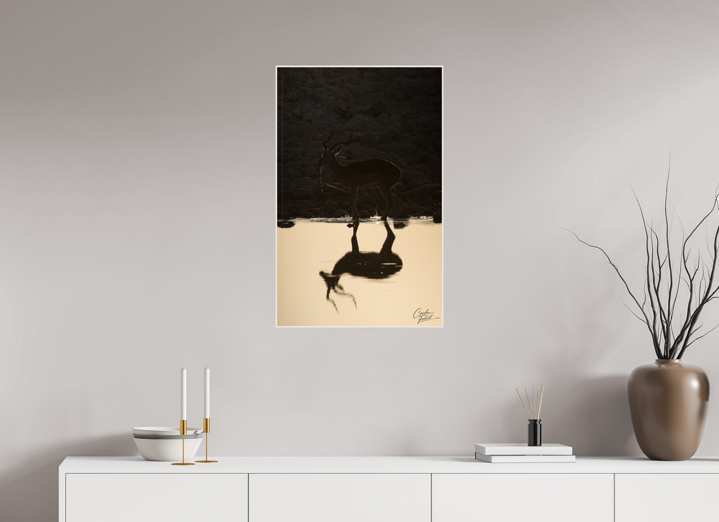 Antelope reflection (Caroline Fourest)
