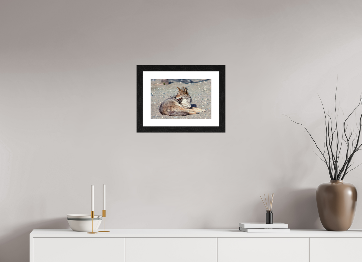 Resting Coyote (Aline de Nanxe)