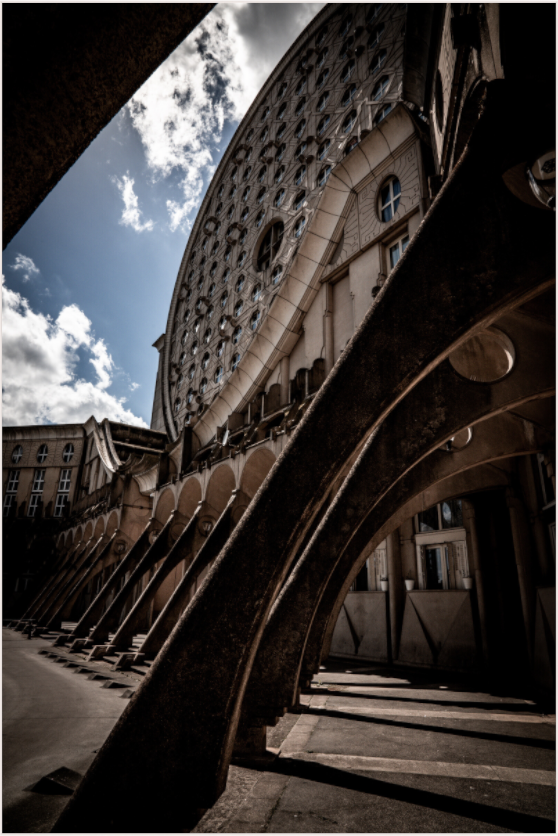 Curved Horizons (Fiammetta Venner)