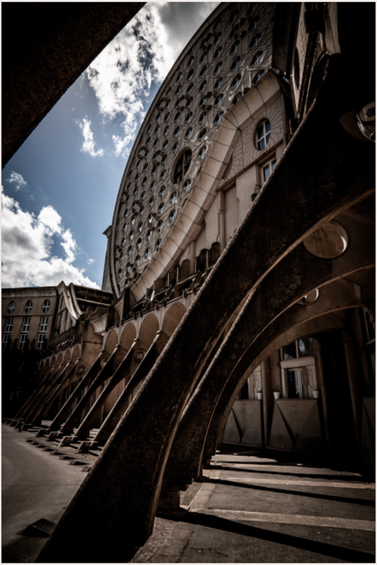 Curved Horizons (Fiammetta Venner)