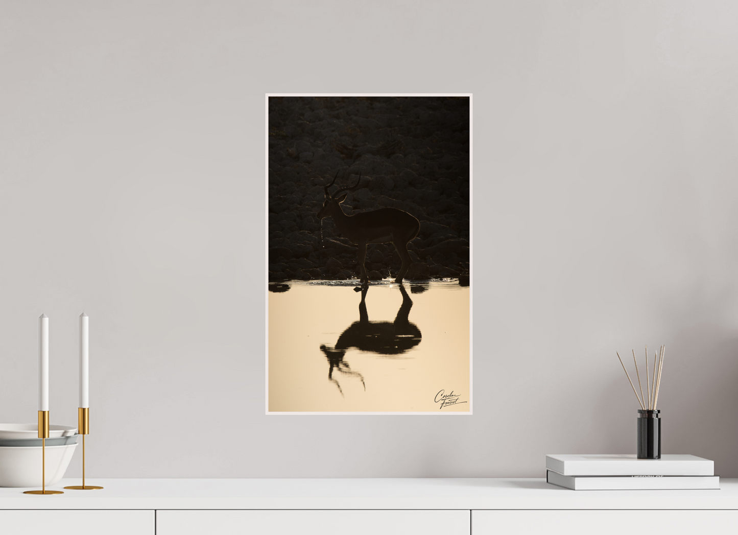 Antelope reflection (Caroline Fourest)