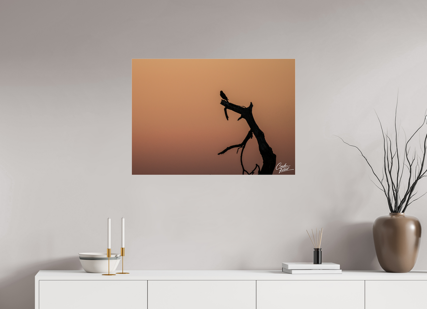 Silhouette at Dusk (Caroline Fourest)