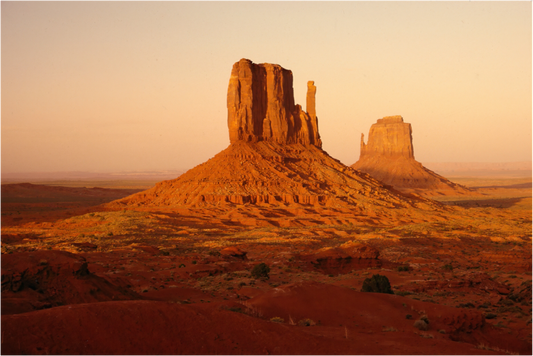 Wild Sentinels (Aline de Nanxe)