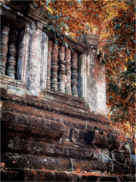 Ginger Ta Prohm (Fiammetta Venner)