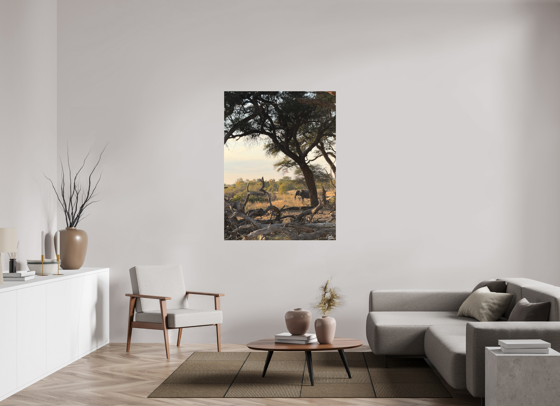 105 x 140 cm, Tirage photo sous Plexi mat The Guardian Tree (Caroline Fourest)