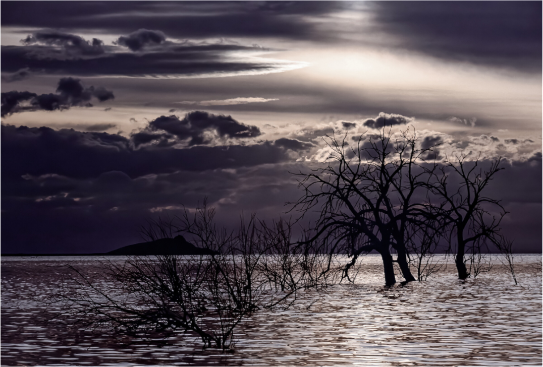 Silent Sentinels (Aline de Nanxe)