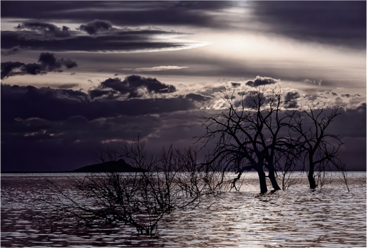 Silent Sentinels (Aline de Nanxe)