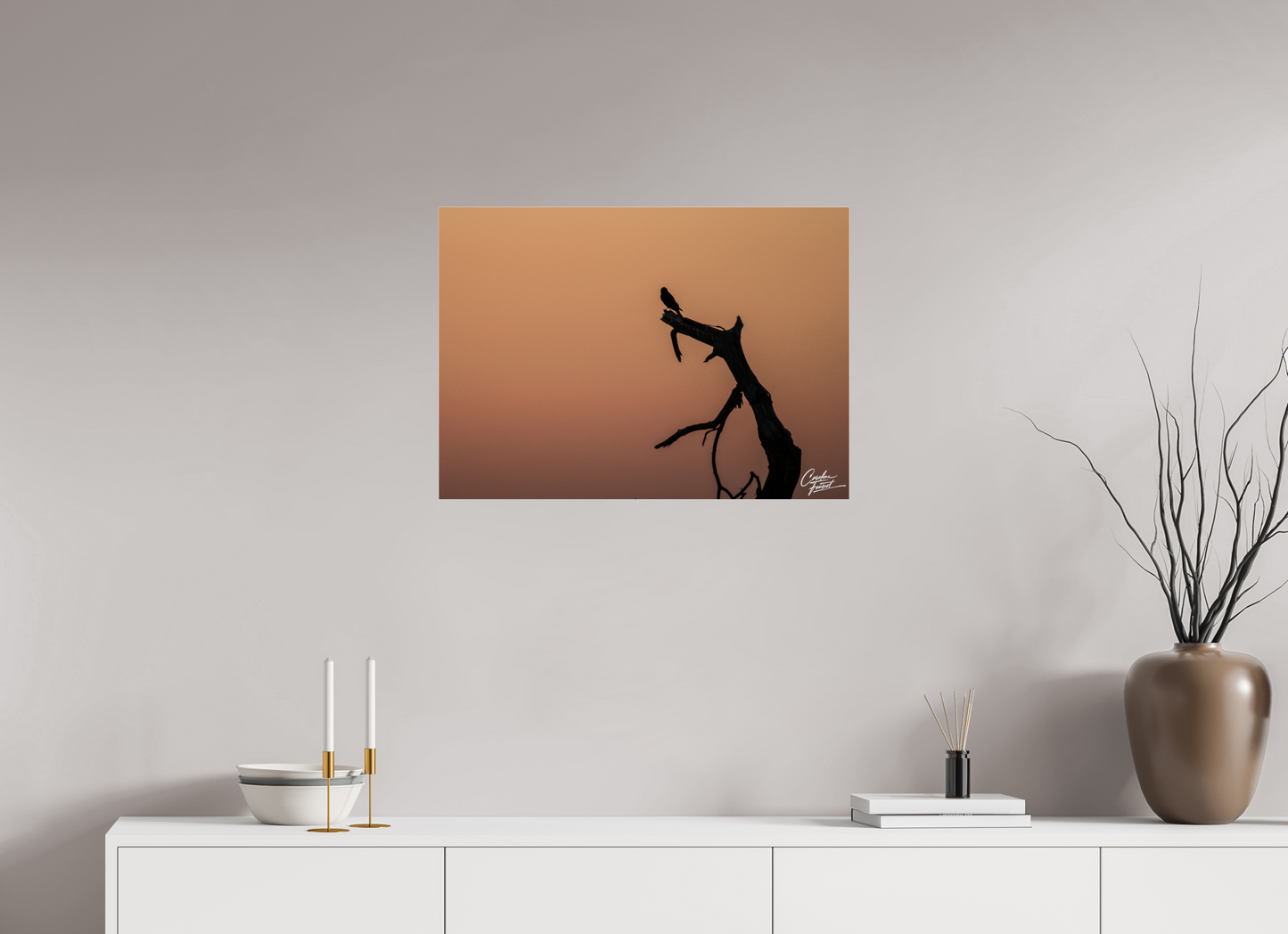Silhouette at Dusk (Caroline Fourest)