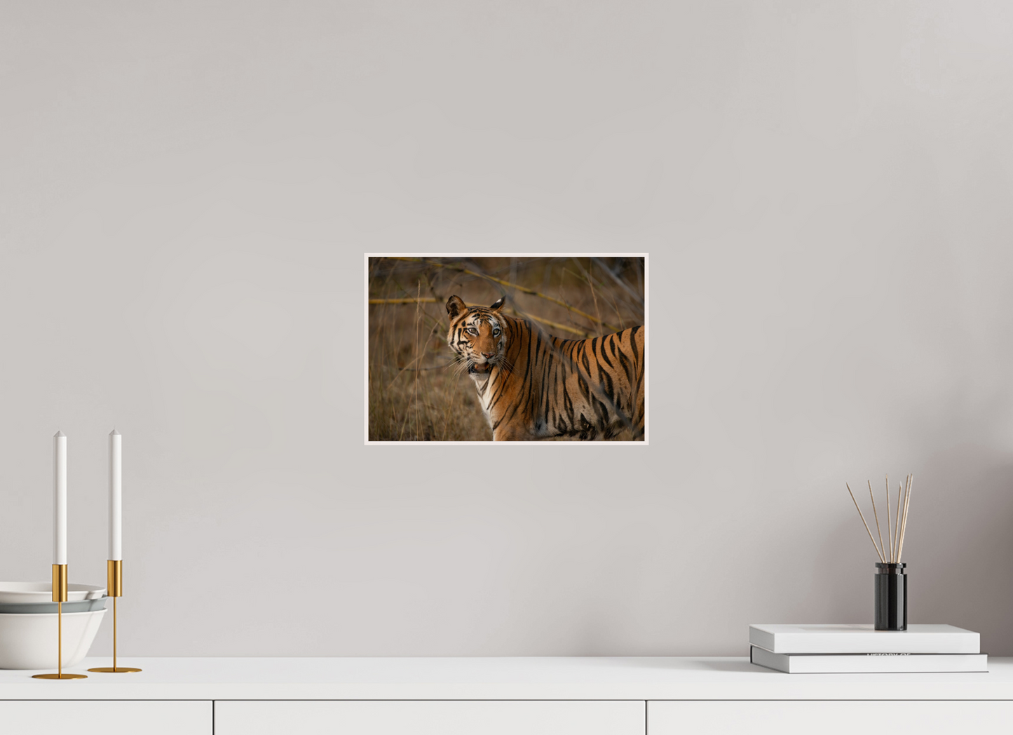 Suspicious Tiger (Fiammetta Venner)