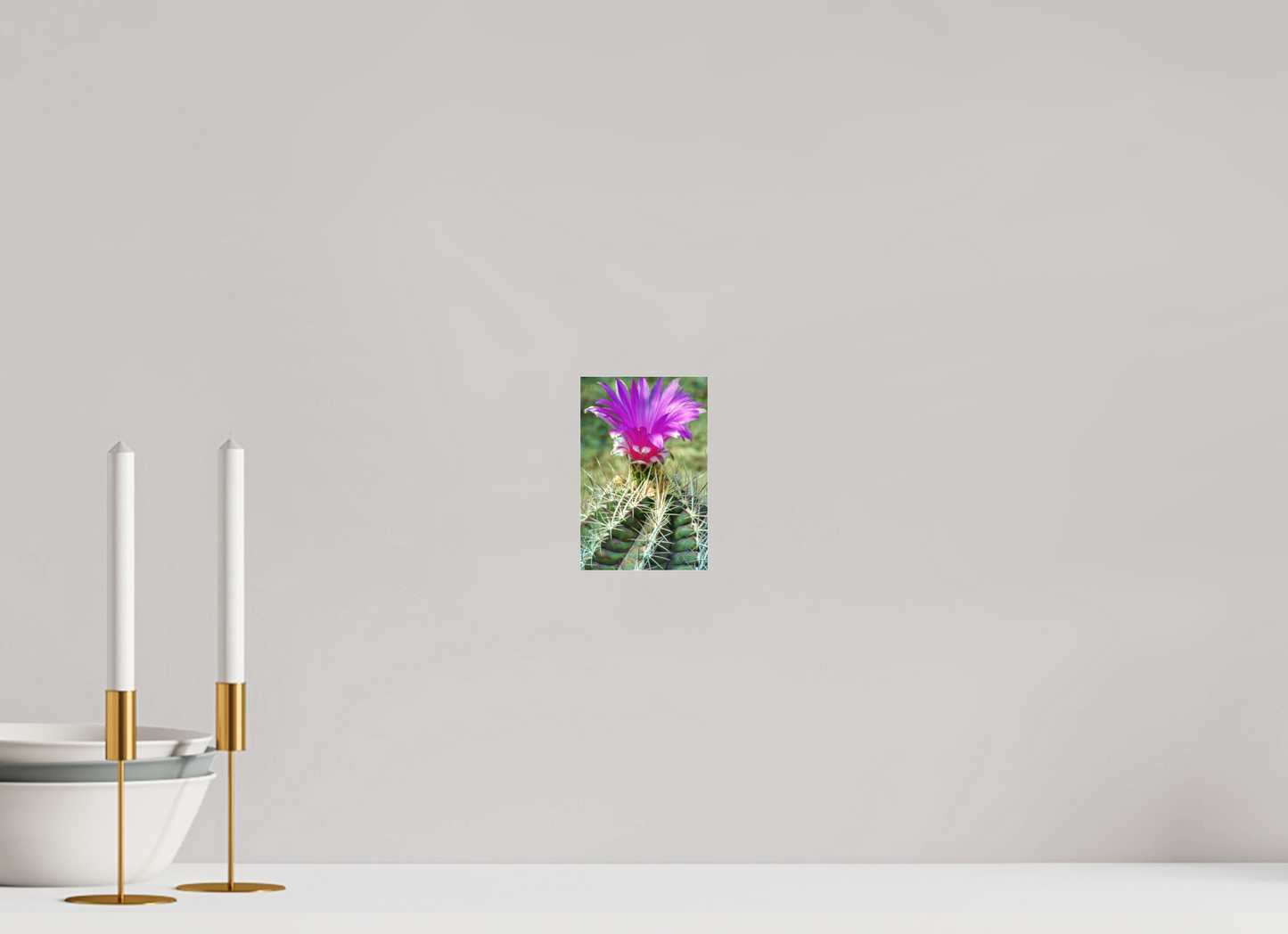 Flamingo Cactus (Aline de Nanxe)