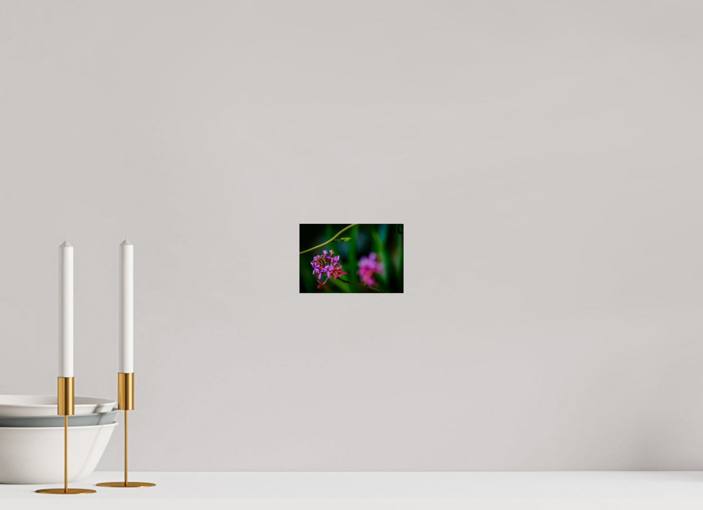 15 x 10 cm, Photo Print Under Acrylic Glass Fiammetta Perou