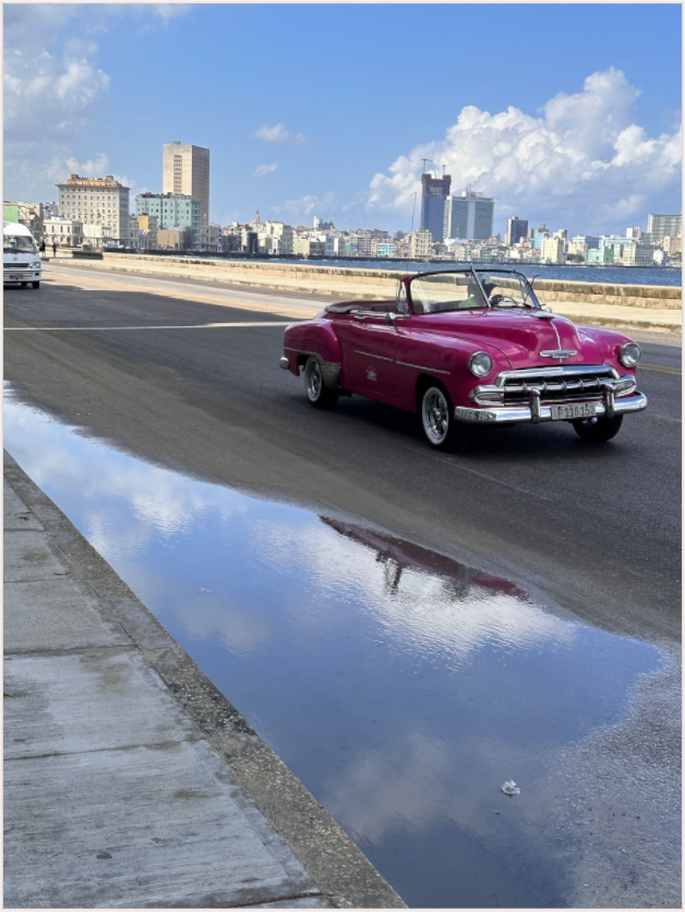 Reflections on the Malecón (Fiammetta Venner)