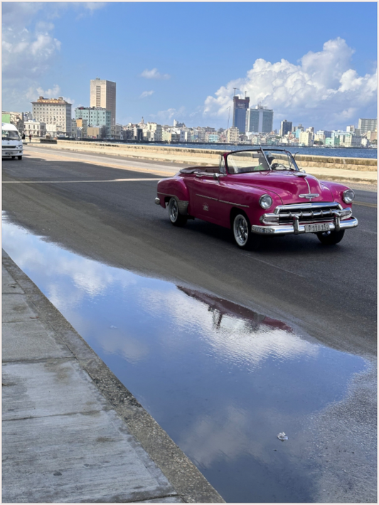 Reflections on the Malecón (Fiammetta Venner)