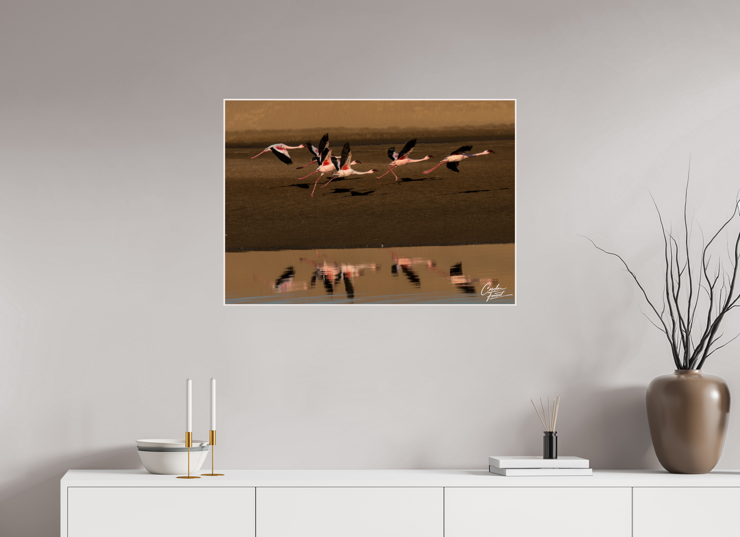 Reflections of Flight (Caroline Fourest)