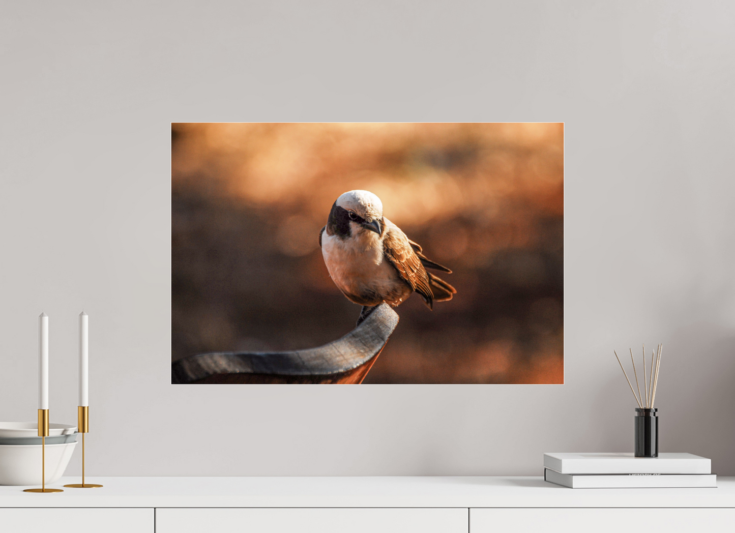 Perched in Serenity (Caroline Fourest)