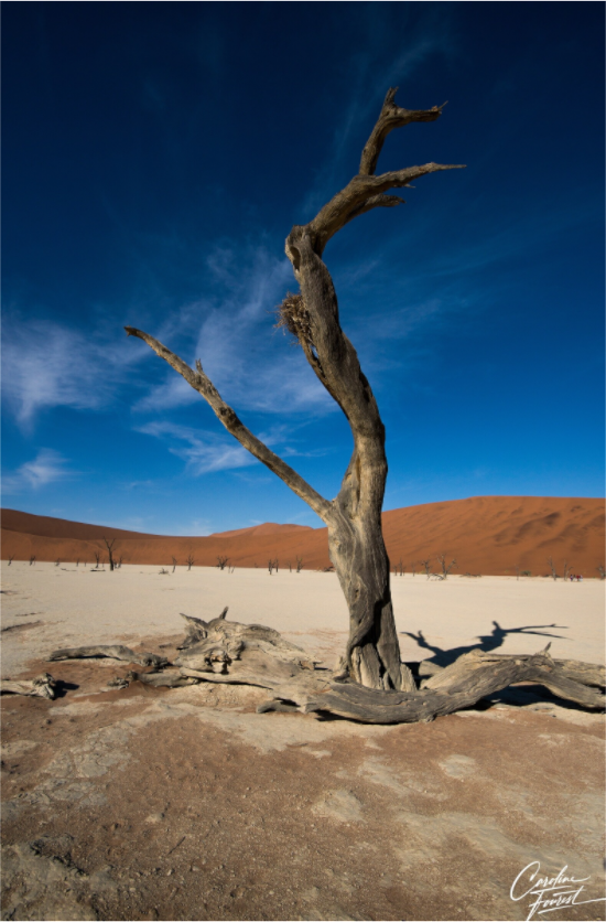 Main image Victoria Falls Zimbabwe (2025) Photography : © Caroline Fourest / REIA (Caroline Fourest)