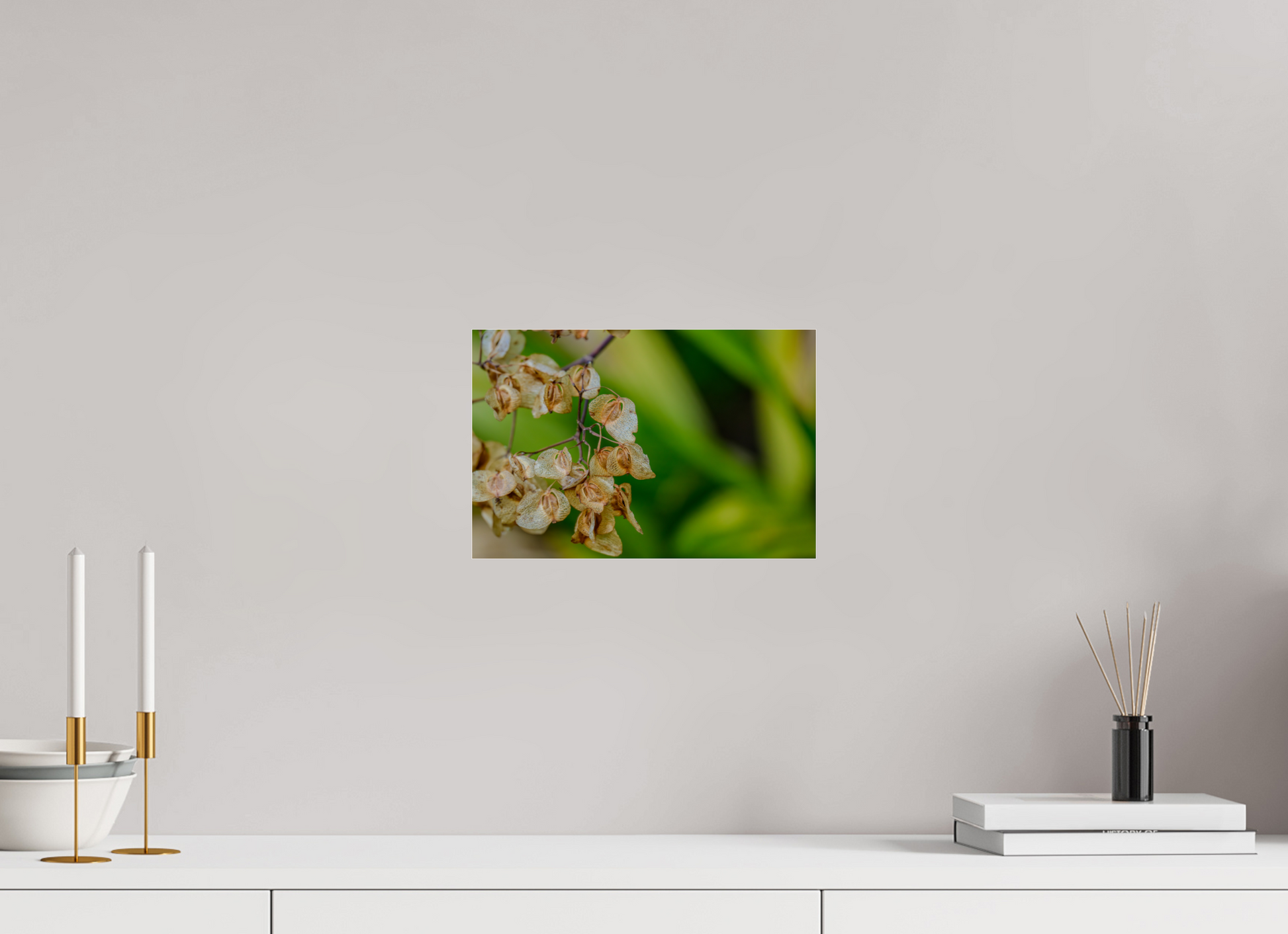 30 x 20 cm, Photo Print Under Acrylic Glass Fiammetta Perou