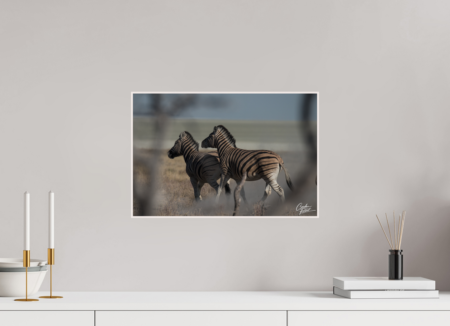 Dance of the Stripes (Caroline Fourest)