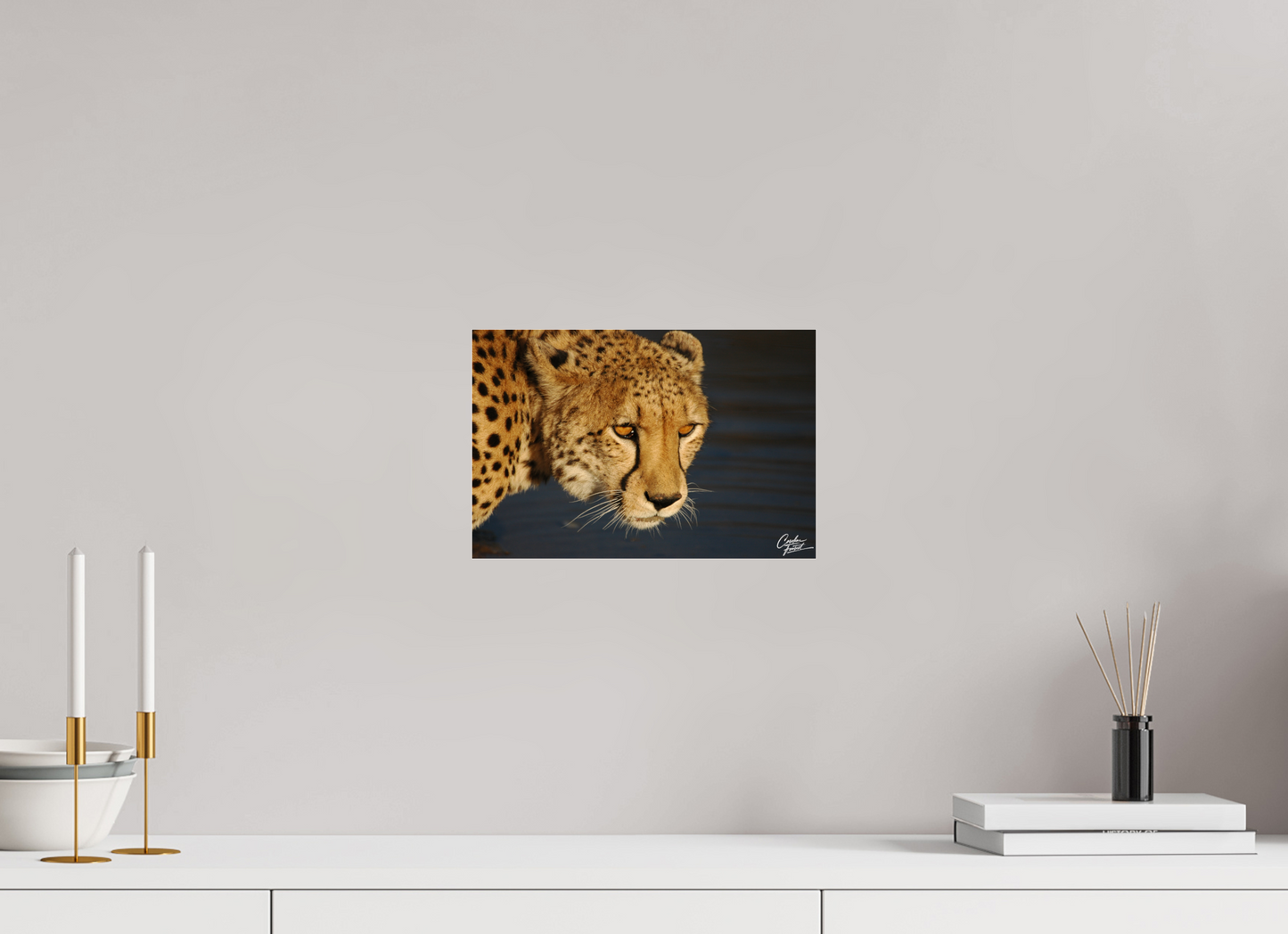Golden Gaze of the Wild (Caroline Fourest)