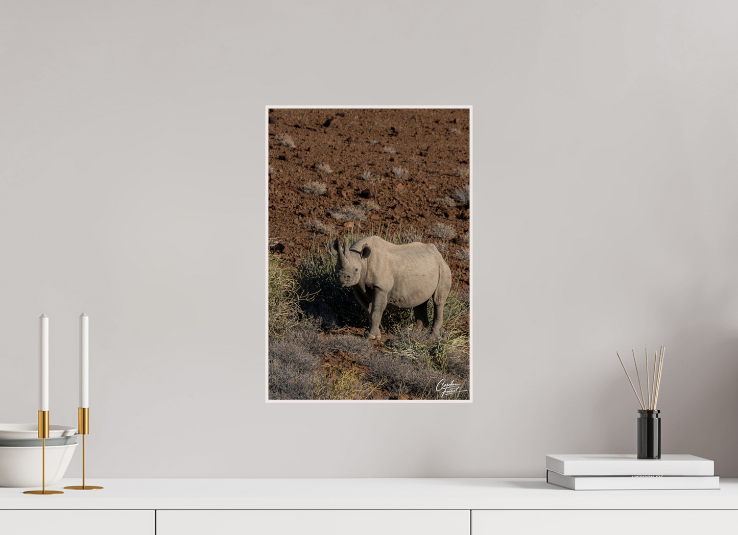 Black rhino guardian (Caroline Fourest)