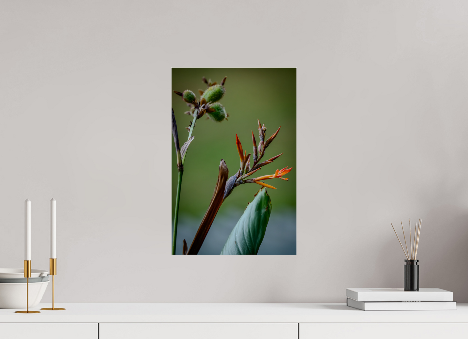 30 x 45 cm, Tirage photo ultraHD sous Plexi Fiammetta Perou