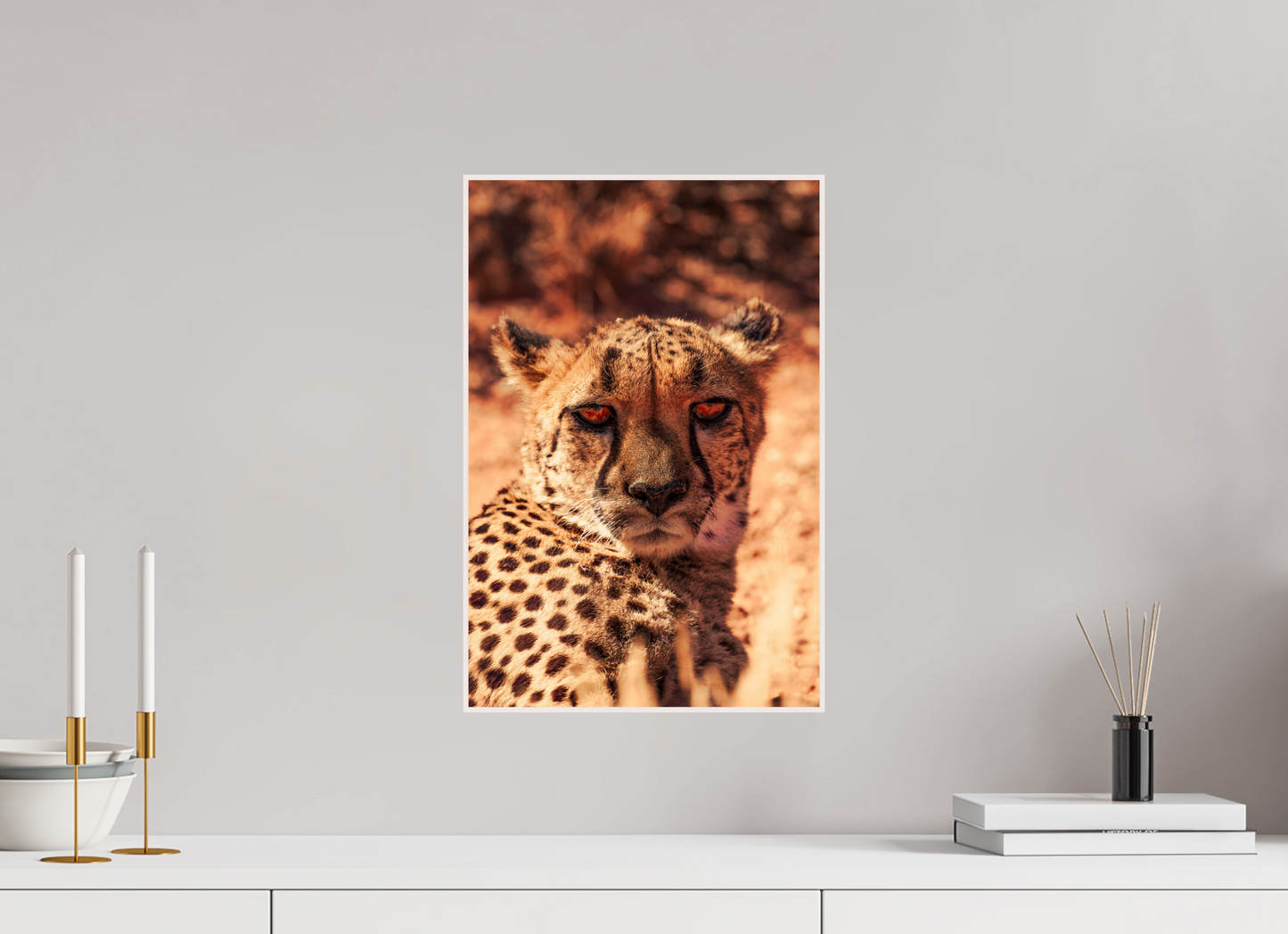 Cheetah's Gaze (Fiammetta Venner)