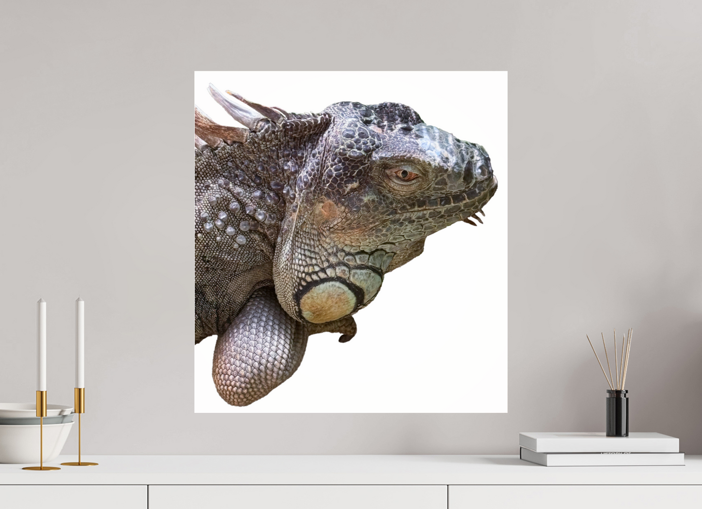 Majestic iguana (Fiammetta Venner)