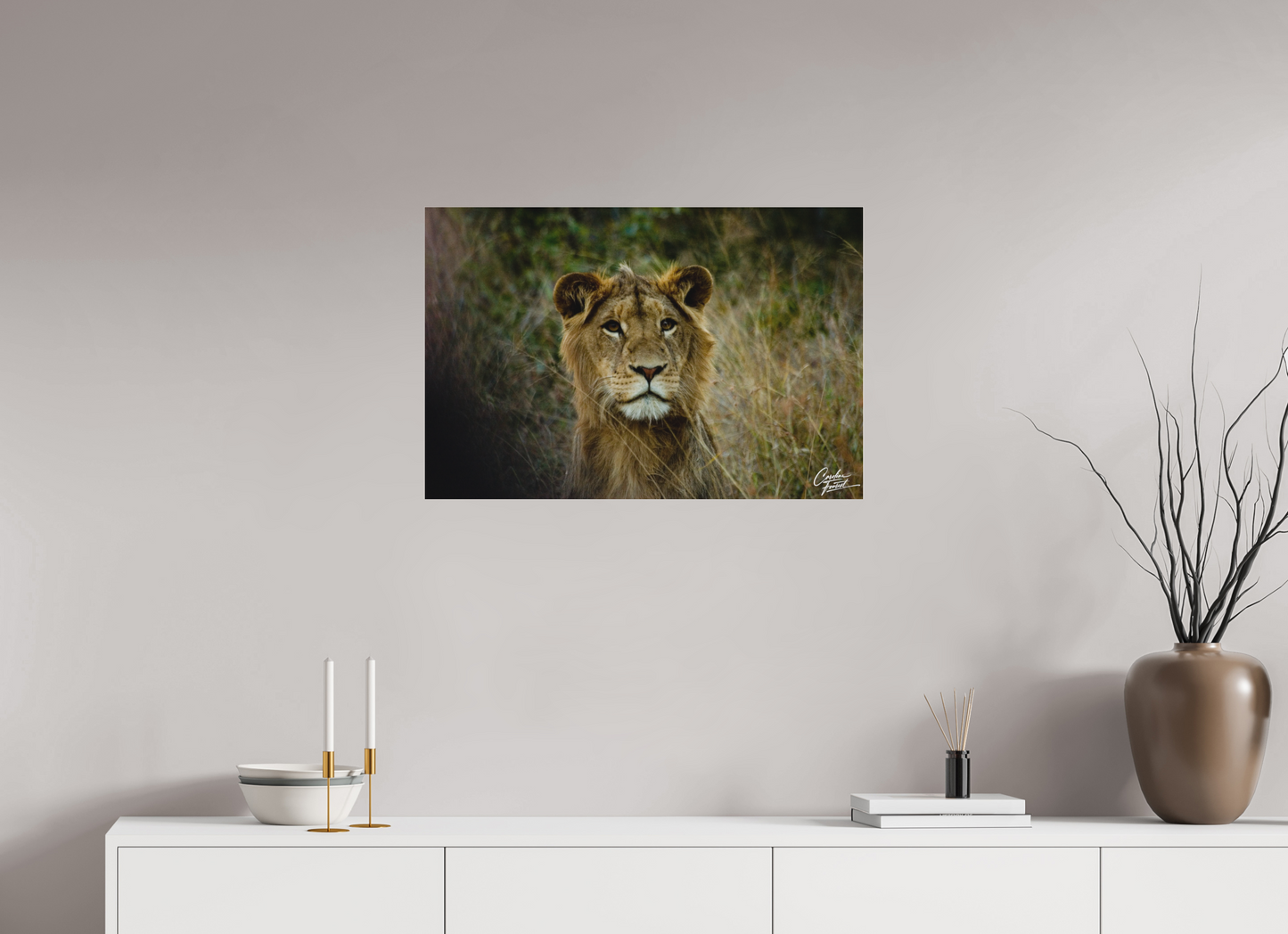King of the Grasslands (Caroline Fourest)