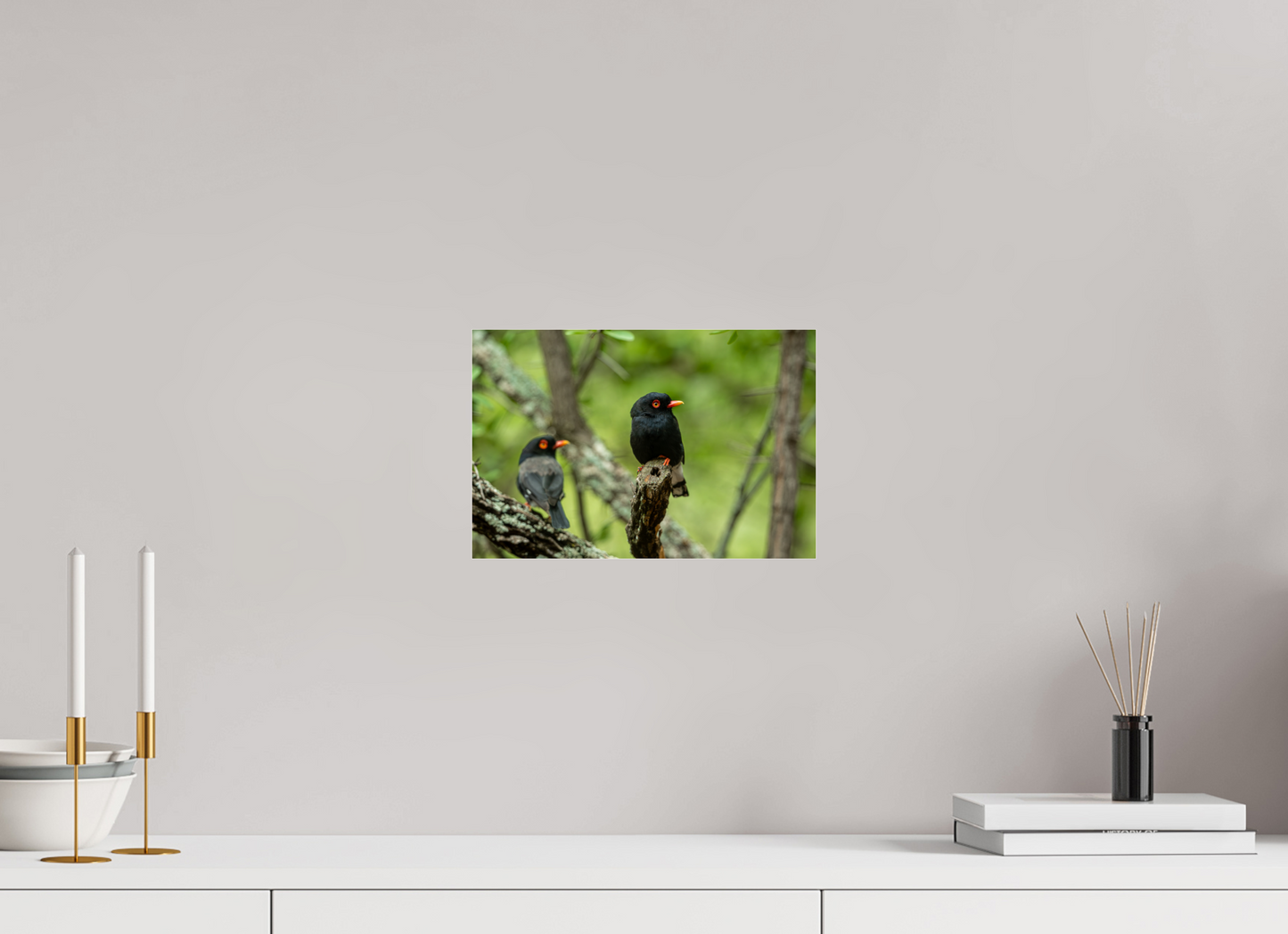 Feathered Companions (Fiammetta Venner)