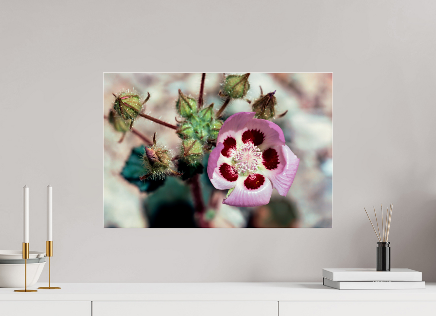 Desert Blossom (Aline de Nanxe)